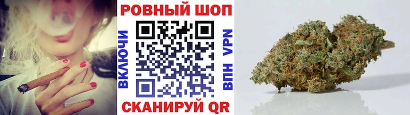 Наркошоп купить Бошки Шишки  Амфетамин  ГАШ  Псилоцибиновые грибы  Cocaine  А ПВП  МЕФ  Новозыбков