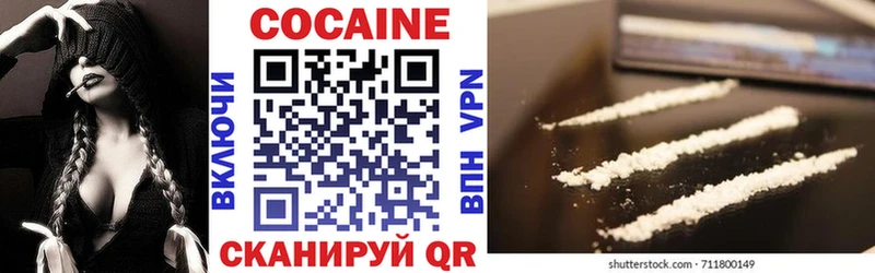 Кокаин Fish Scale  Купить закладки  Новозыбков 