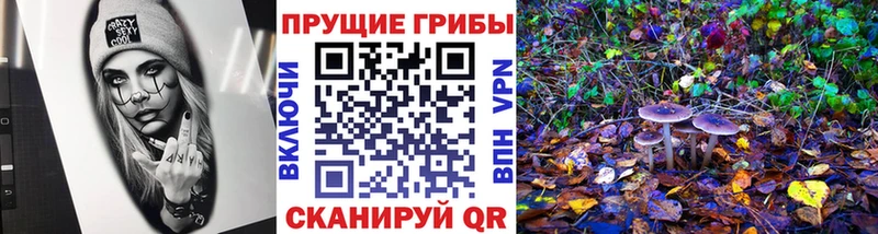 Псилоцибиновые грибы Magic Shrooms  Купить  Новозыбков 